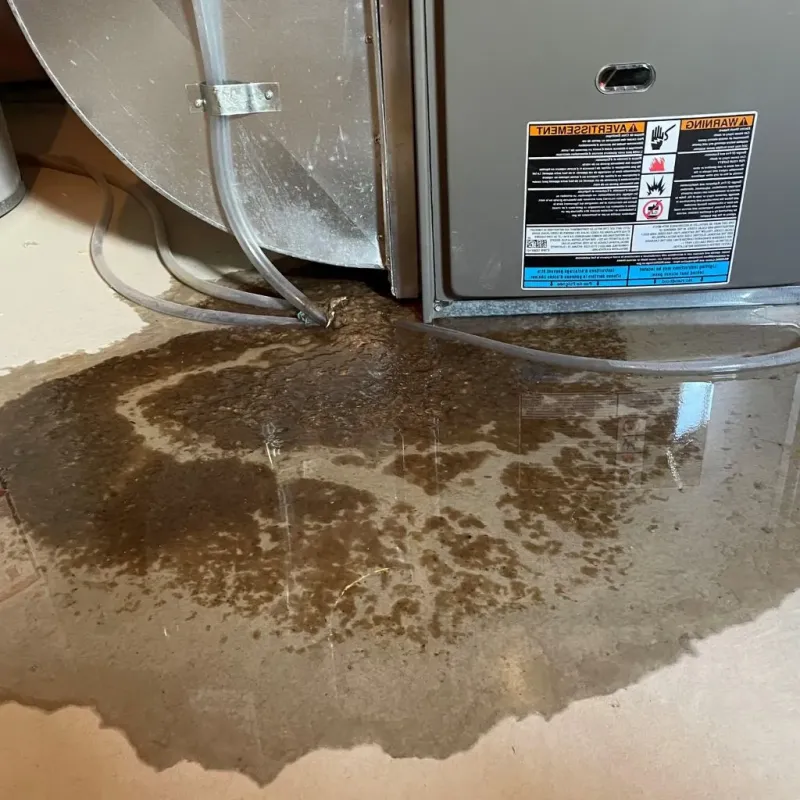 Pipe Burst and Leak Restoration in Lawrence, MA